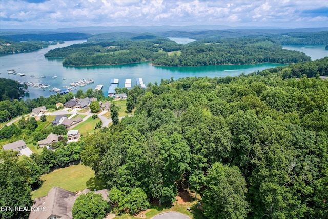Spinnaker Dr, Andersonville, TN 37705 - photo 3