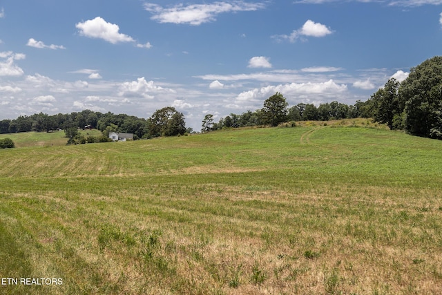 Binfield Rd, Maryville, TN 37801 - photo 31