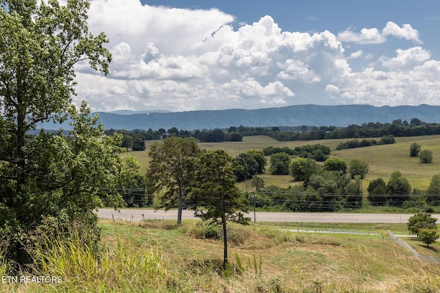 Binfield Rd, Maryville, TN 37801 - photo 33
