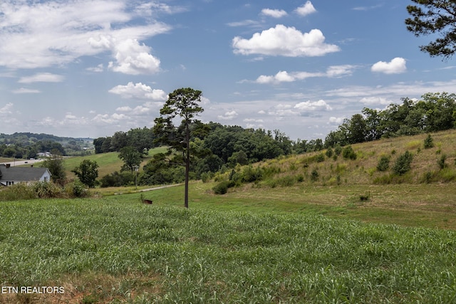 Binfield Rd, Maryville, TN 37801 - photo 34