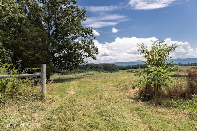 Binfield Rd, Maryville, TN 37801 - photo 36