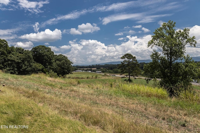 Binfield Rd, Maryville, TN 37801 - photo 40