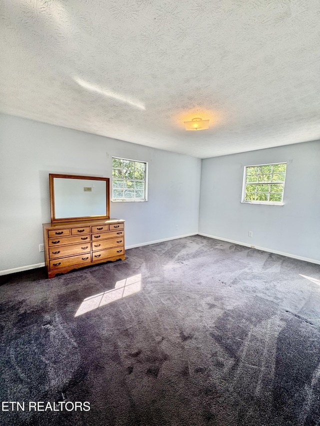 121 Ida Hertzler Ln, Knoxville, TN 37934 - carpeted spare room featuring healthy amount of natural light and a textured ceiling
