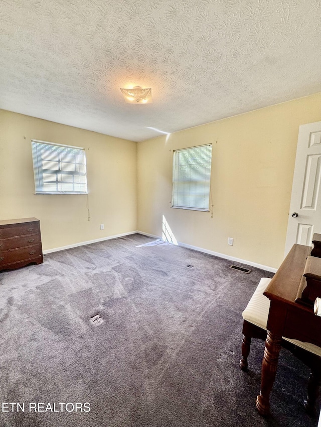 121 Ida Hertzler Ln, Knoxville, TN 37934 - carpeted empty room with a textured ceiling