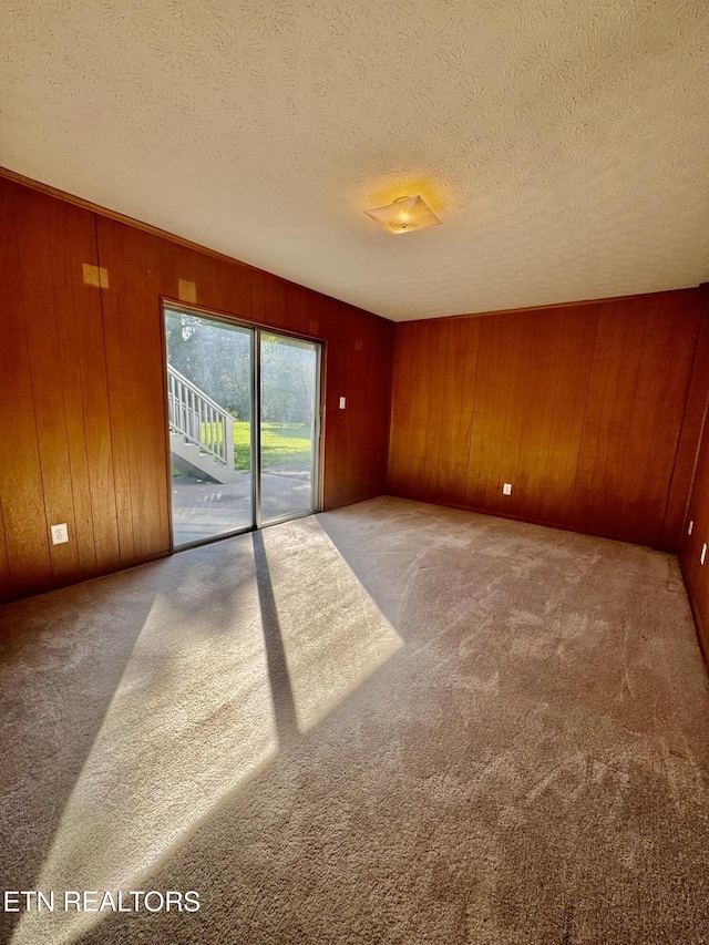 121 Ida Hertzler Ln, Knoxville, TN 37934 - spare room with carpet flooring, wooden walls, and a textured ceiling