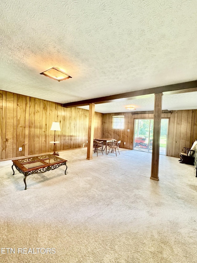 121 Ida Hertzler Ln, Knoxville, TN 37934 - carpeted living area featuring wood walls and a textured ceiling