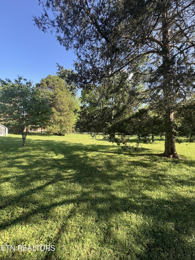 121 Ida Hertzler Ln, Knoxville, TN 37934 - view of grassy yard