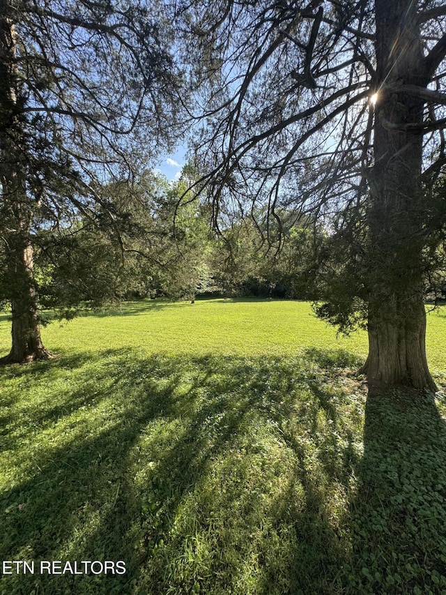 121 Ida Hertzler Ln, Knoxville, TN 37934 - view of grassy yard