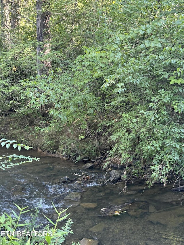 121 Ida Hertzler Ln, Knoxville, TN 37934 - view of nature
