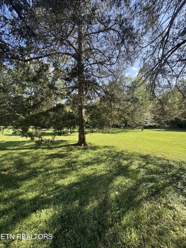 121 Ida Hertzler Ln, Knoxville, TN 37934 - view of green lawn