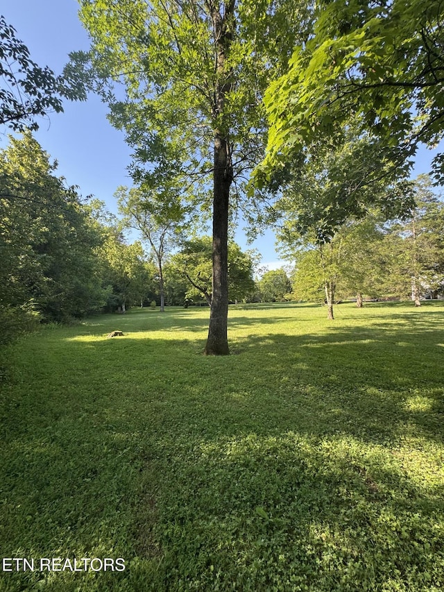 121 Ida Hertzler Ln, Knoxville, TN 37934 - view of grassy yard