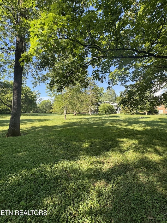 121 Ida Hertzler Ln, Knoxville, TN 37934 - view of green lawn
