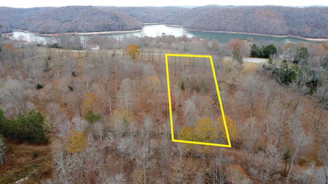 Deerfield Way, Lafollette, TN 37766