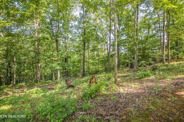 135 Kawatuska Way, Loudon, TN 37774 - photo 35