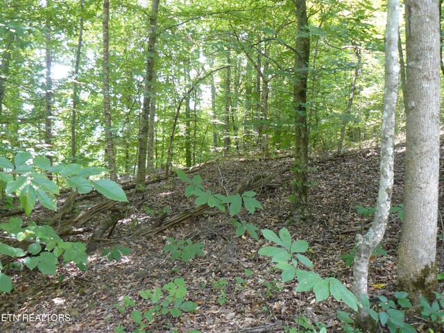 Tanglewood Rd, Sharps Chapel, TN 37866 - photo 1