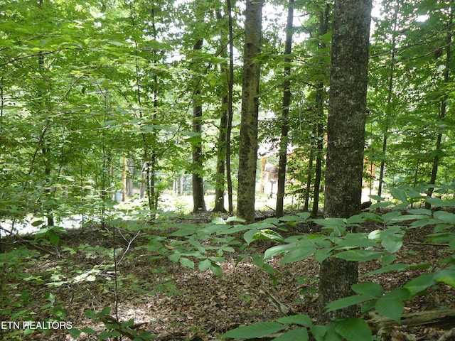 Tanglewood Rd, Sharps Chapel, TN 37866 - photo 3
