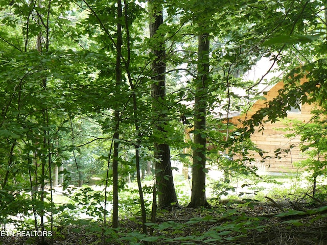 Tanglewood Rd, Sharps Chapel, TN 37866 - photo 4