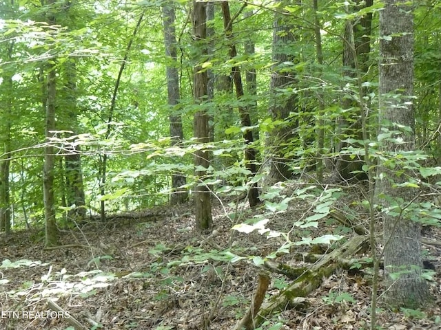 Tanglewood Rd, Sharps Chapel, TN 37866 - photo 5