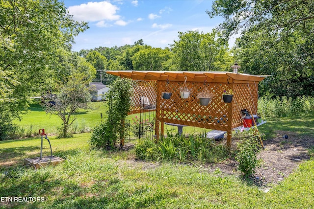 3205 Holston Hills Rd, Knoxville, TN 37914 - photo 24