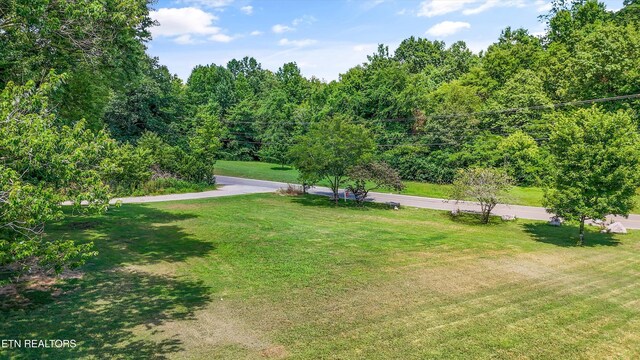 3205 Holston Hills Rd, Knoxville, TN 37914 - photo 30