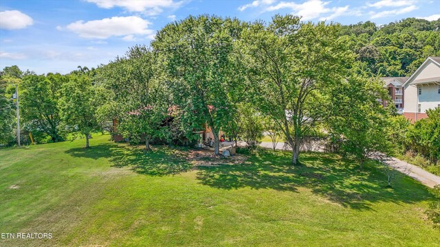 3205 Holston Hills Rd, Knoxville, TN 37914 - photo 31
