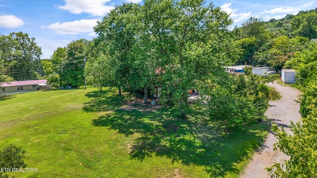 3205 Holston Hills Rd, Knoxville, TN 37914 - photo 32