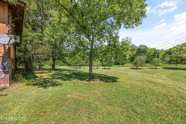 3205 Holston Hills Rd, Knoxville, TN 37914 - photo 29