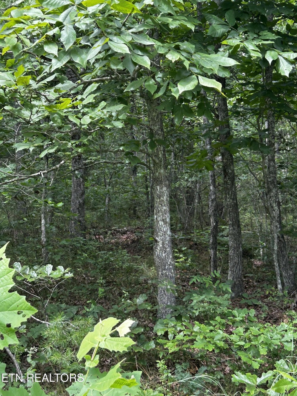 1024 Hopi Dr, Crossville, TN 38572 - photo 1