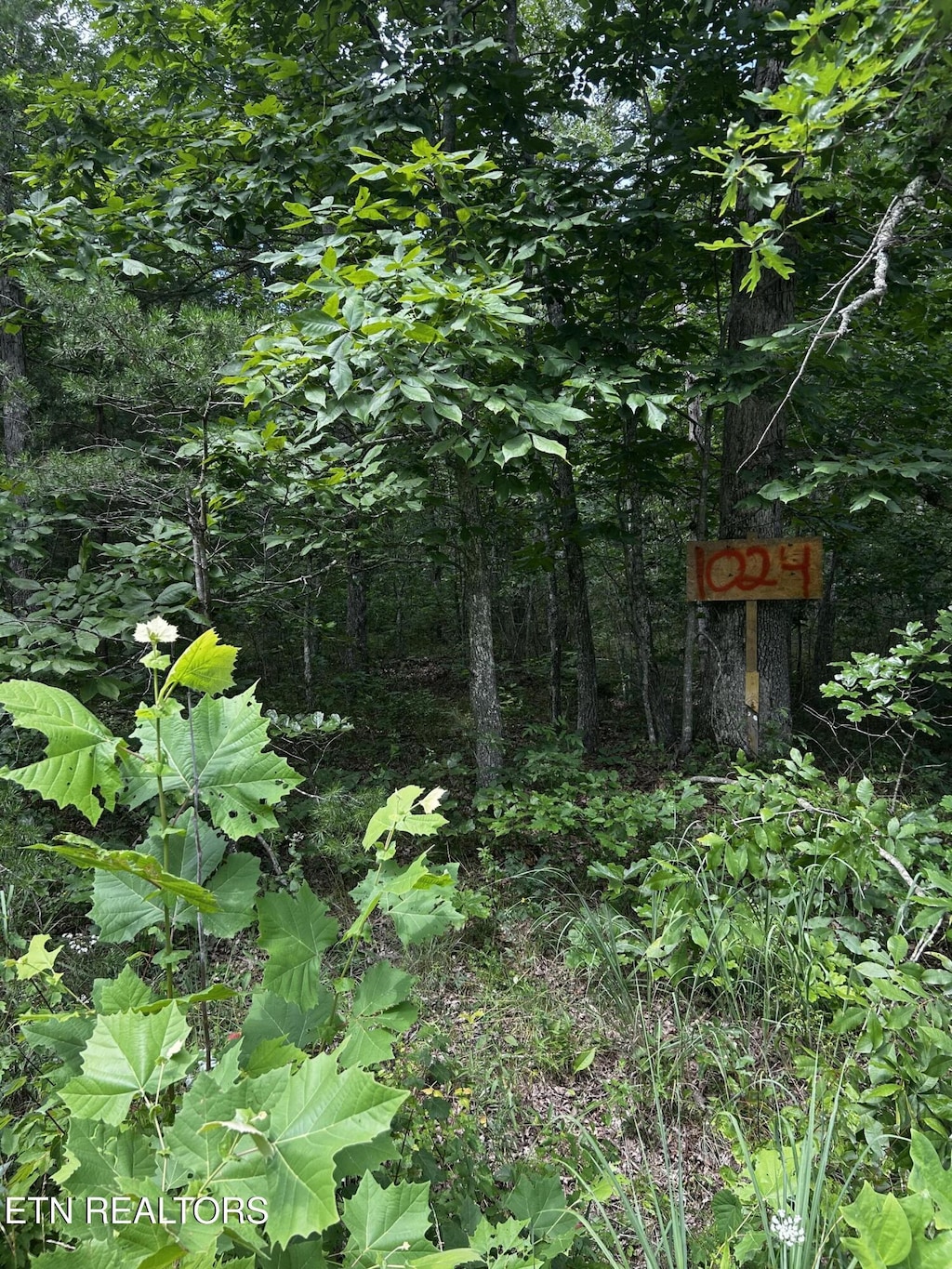 1024 Hopi Dr, Crossville, TN 38572 - photo 3