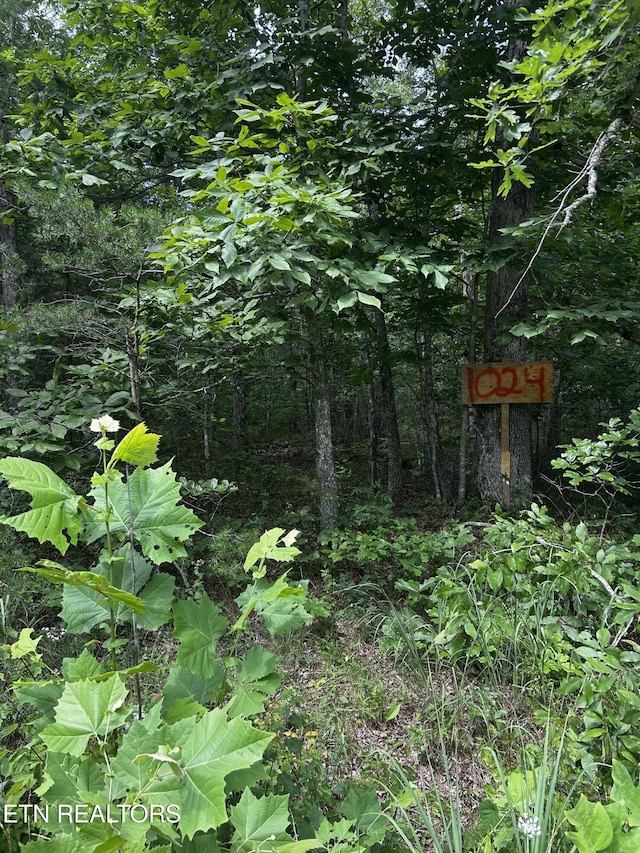 1024 Hopi Dr, Crossville, TN 38572 - photo 3