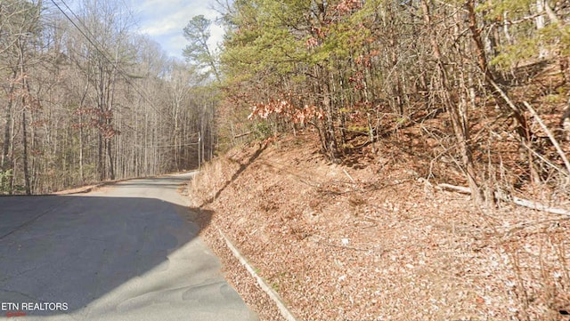 Bear Valley Rd, Sevierville, TN 37876 - photo 1