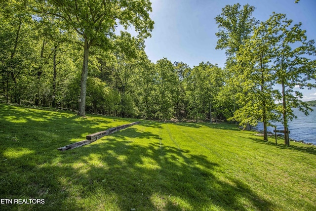 902 Twin Coves Cir, Lenoir City, TN 37772 - photo 8