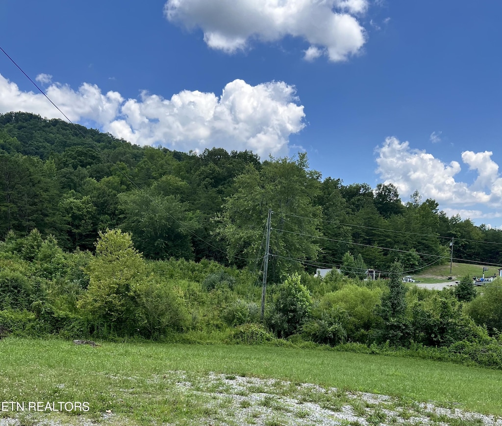 Wooldridge Rd, Jellico, TN 37762 - photo 1