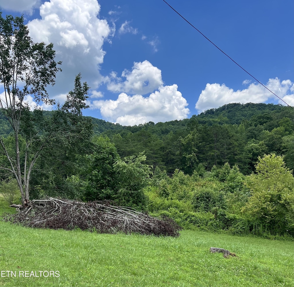 Wooldridge Rd, Jellico, TN 37762 - photo 2