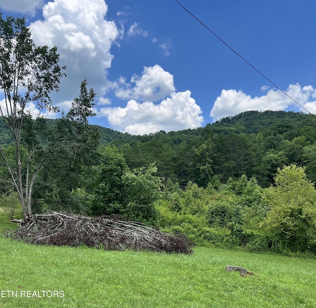 Wooldridge Rd, Jellico, TN 37762 - photo 2