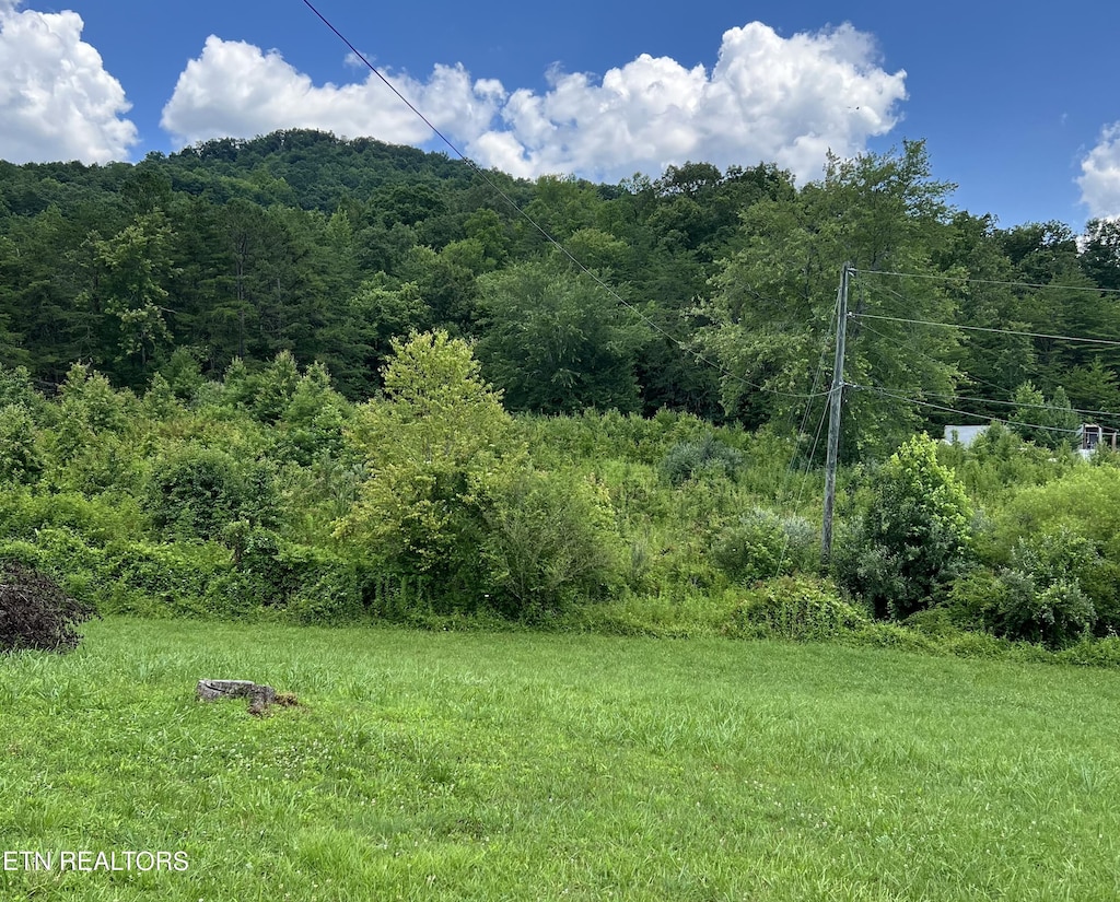 Wooldridge Rd, Jellico, TN 37762 - photo 3