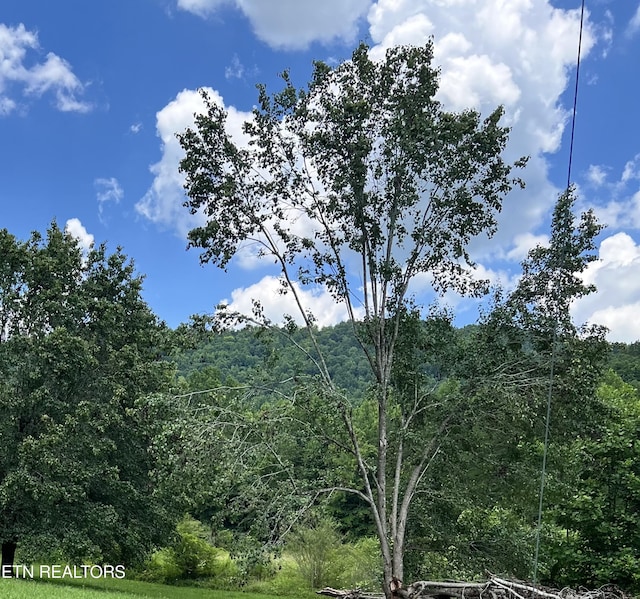Wooldridge Rd, Jellico, TN 37762 - photo 4