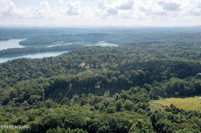 Lillydale Rd, Byrdstown, TN 38549