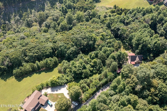 Lillydale Rd, Byrdstown, TN 38549