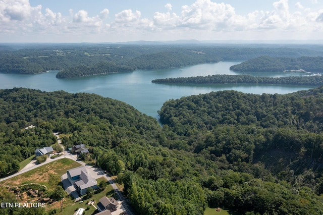 Lillydale Rd, Byrdstown, TN 38549