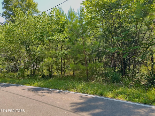 Lillydale Rd, Byrdstown, TN 38549