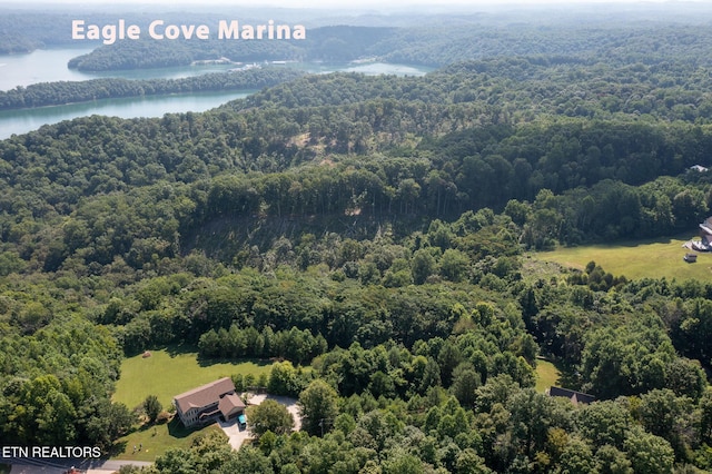 Lillydale Rd, Byrdstown, TN 38549