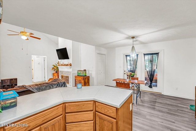 4802 Beverly Field Way, Knoxville, TN 37918 - kitchen with open floor plan, ceiling fan, light countertops, light wood-style flooring, and a tiled fireplace
