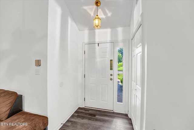 4802 Beverly Field Way, Knoxville, TN 37918 - foyer featuring dark wood-style flooring and baseboards