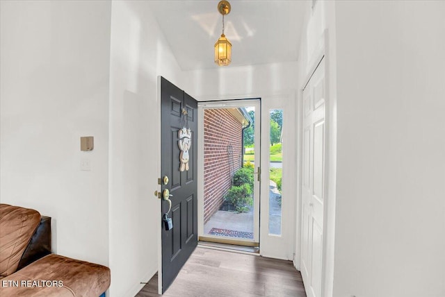 4802 Beverly Field Way, Knoxville, TN 37918 - foyer entrance featuring wood finished floors