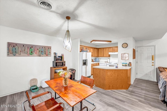 4802 Beverly Field Way, Knoxville, TN 37918 - dining area with light wood-style flooring and a textured ceiling