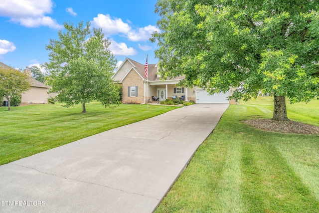 824 Commonwealth Ave, Strawberry Plains, TN 37871 - photo 7