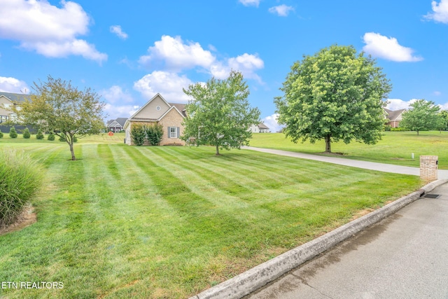 824 Commonwealth Ave, Strawberry Plains, TN 37871 - photo 8