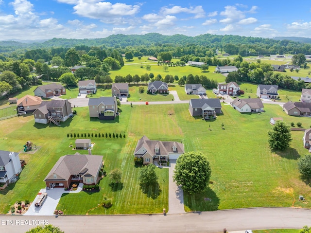 824 Commonwealth Ave, Strawberry Plains, TN 37871 - photo 42