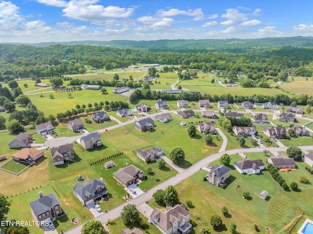 824 Commonwealth Ave, Strawberry Plains, TN 37871 - photo 6